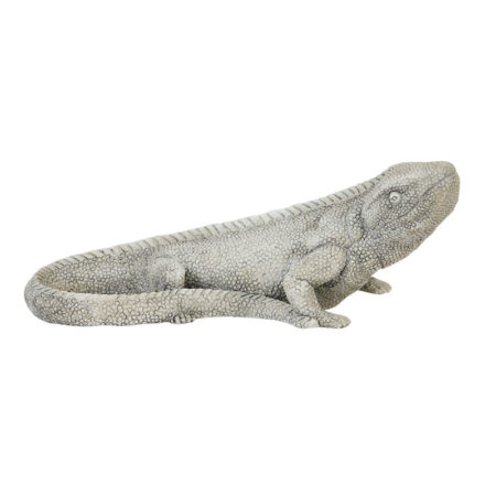 savra-ilionhome-reptile1-450x450.jpg